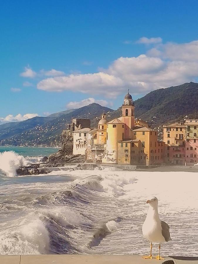 Silmar Apartment Camogli Bagian luar foto